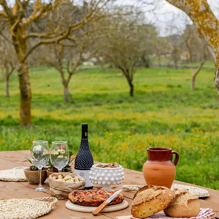 Villa Trulli Sereni With Large Relaxing Garden